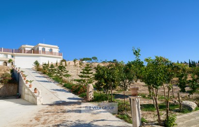 Villa 487350, Latchi, Paphos